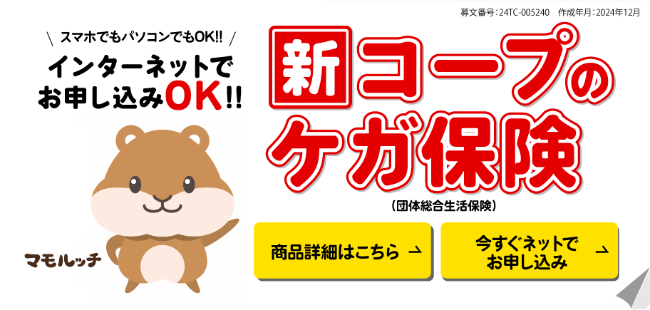 新コープのケガ保険（団体総合生活保険）インターネットお申し込みOK!!スマホでもパソコンでもOK!! 募文番号：24TC-005240 作成年月：2024年12月